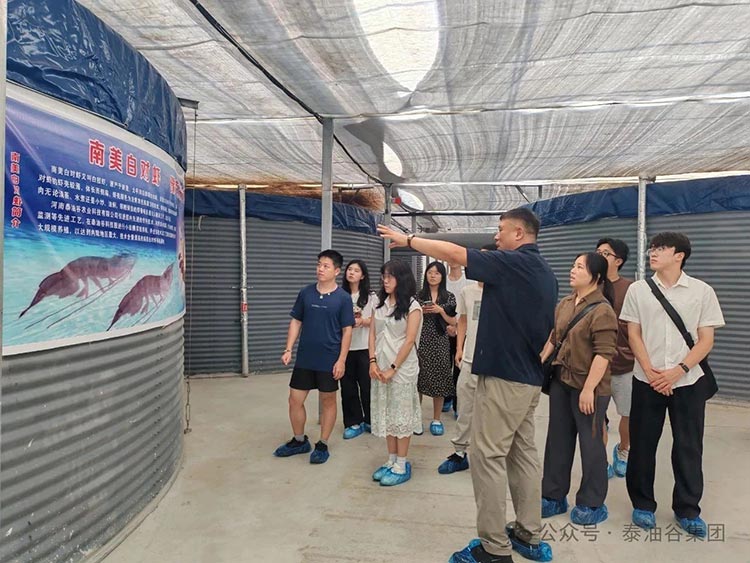浙江大學晨興文化中國河南行走進泰油谷集團，僑商助推人才共探產業新浪潮